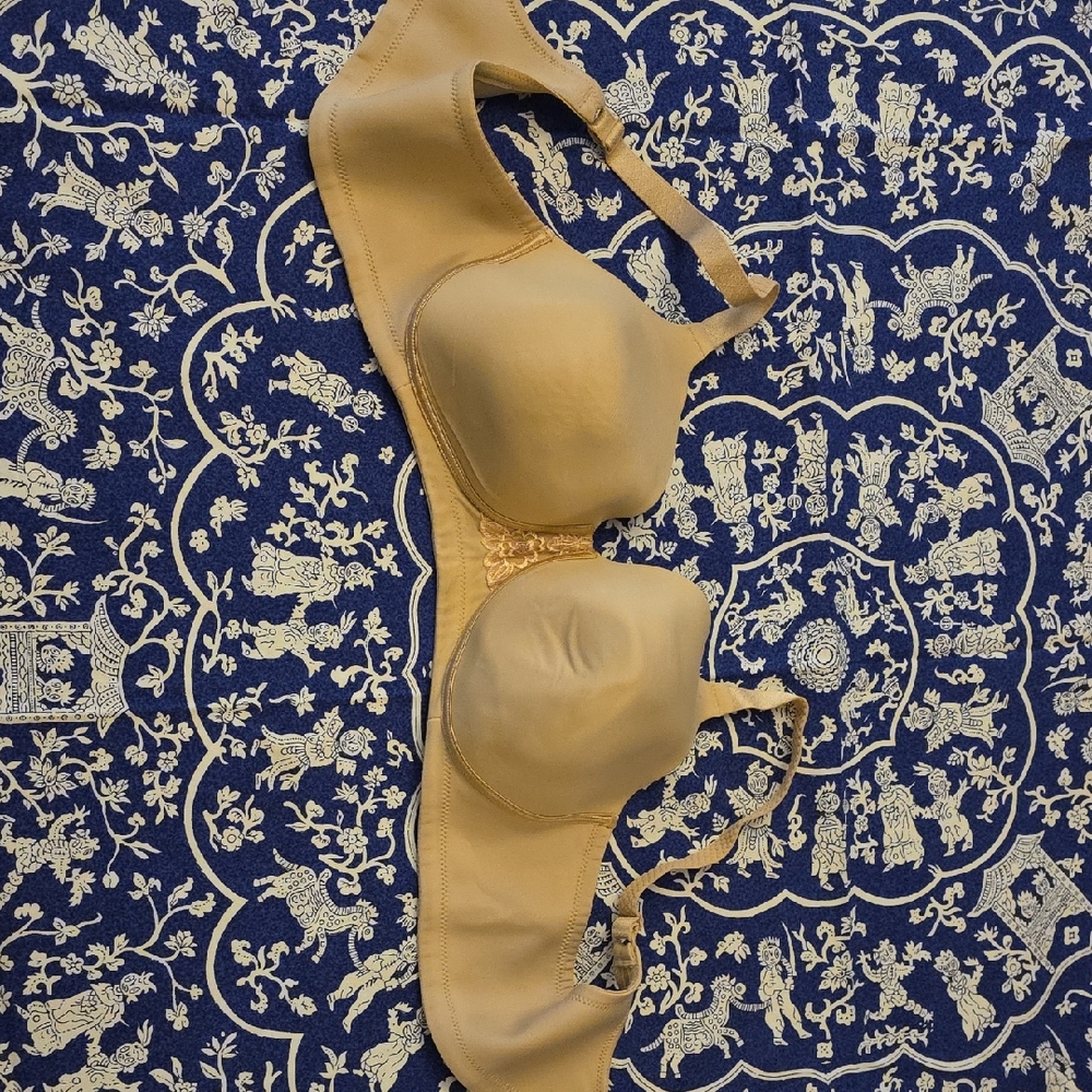 Tan Vanity Fair Bra (new!) - 42C